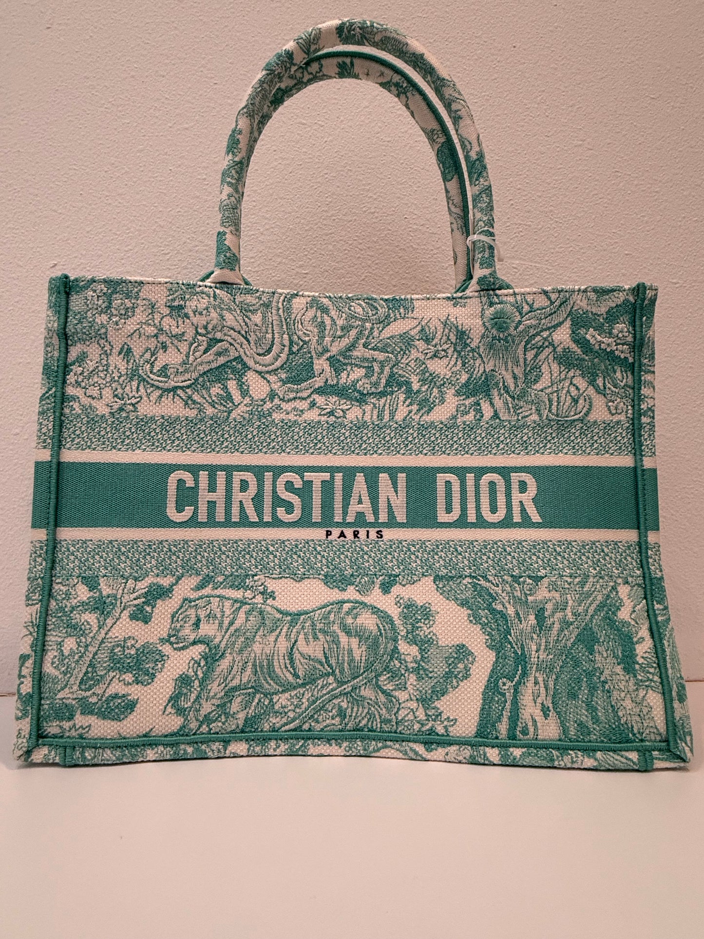 Christian Dior 2024 Medium Jade Green Dioriviera Book Tote Handbag